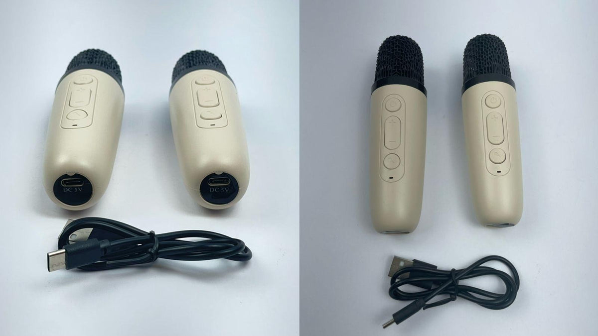 Karaoke GTS-2009 Wireless Bluetooth Speaker (With 2 Mic)